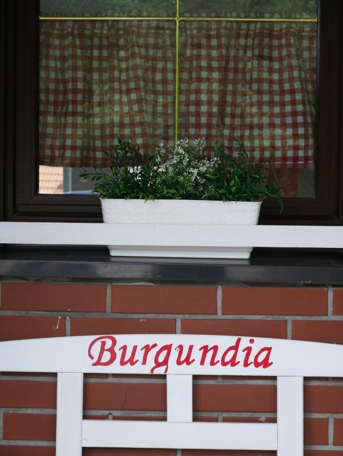 Niewinne Domki - Burgundia Zywiec Exterior photo